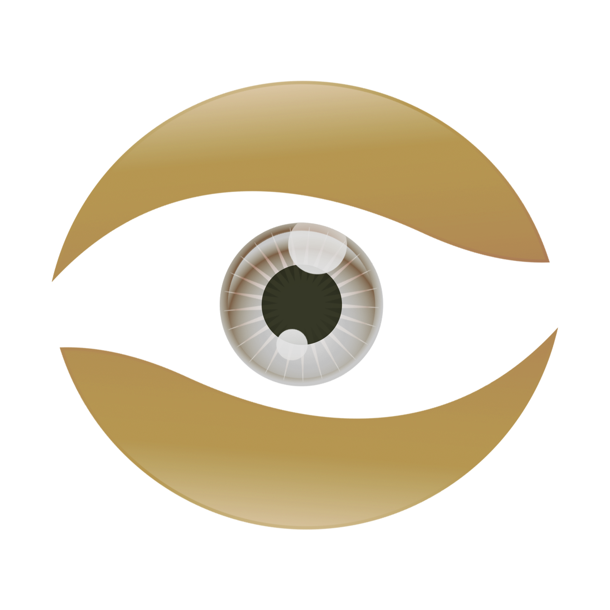 عدسات طبية شفافة