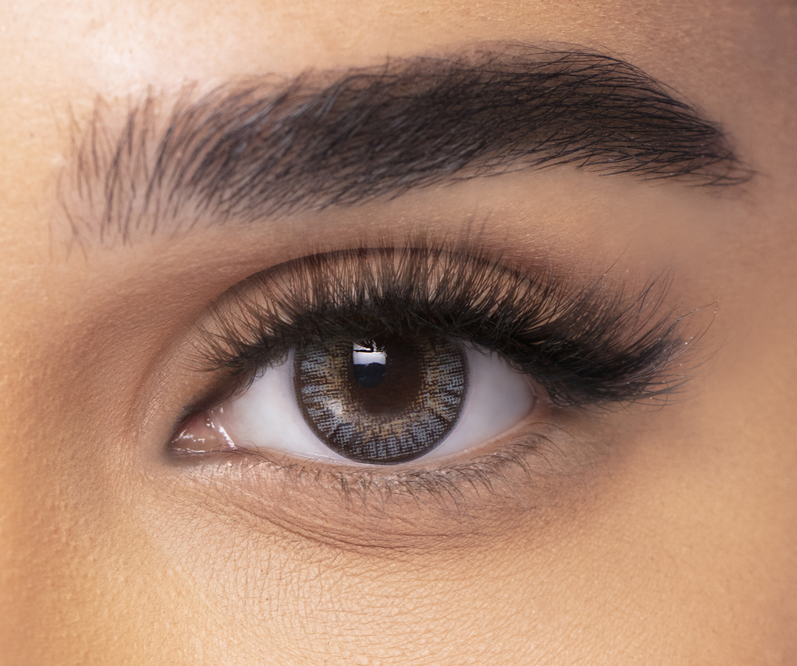 فريش لوك وان داي كولور بليندز - عبوة من 30 عدسة -  جراي