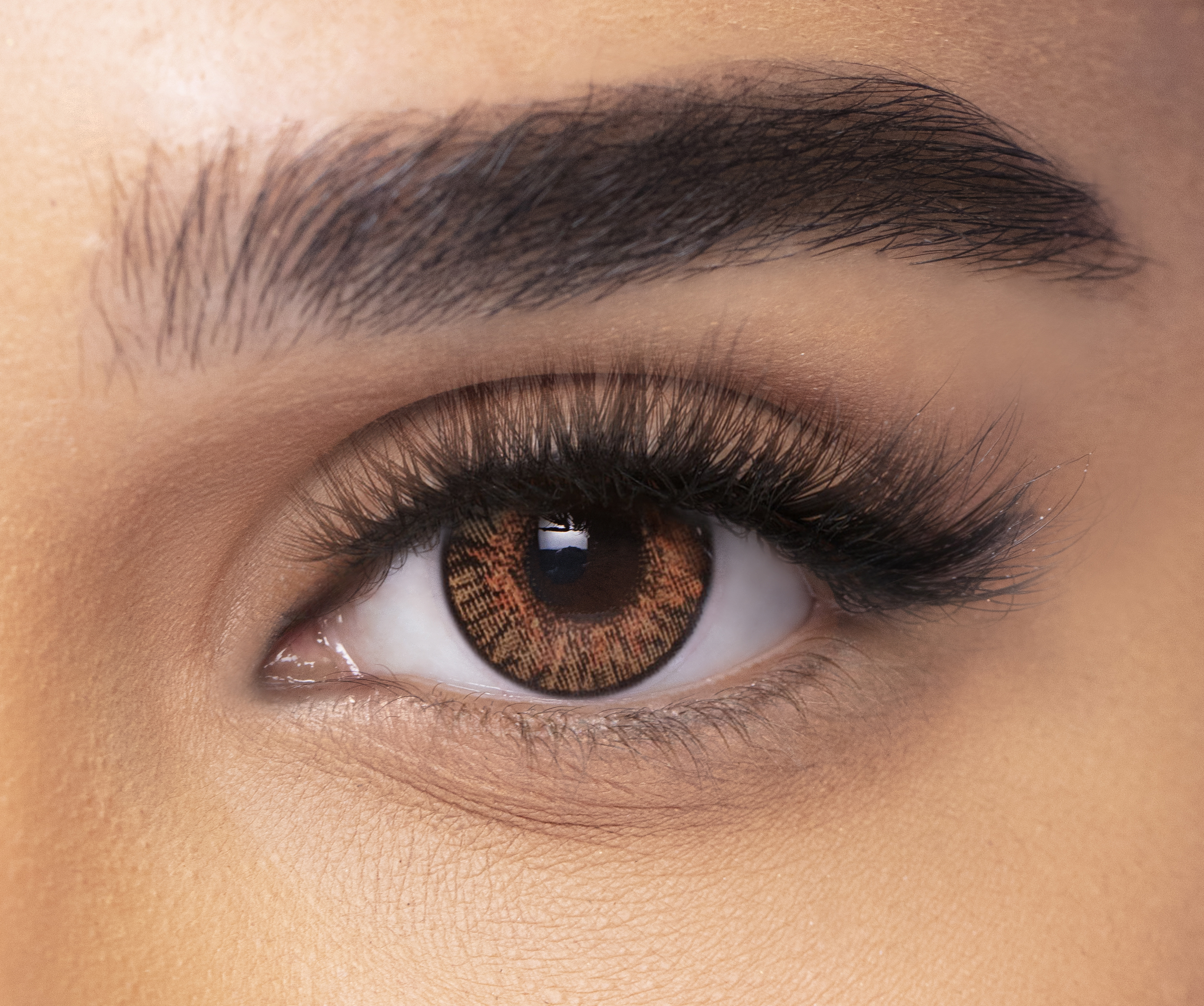 فريش لوك كولور بليندز - عبوة من عدستين - هاني