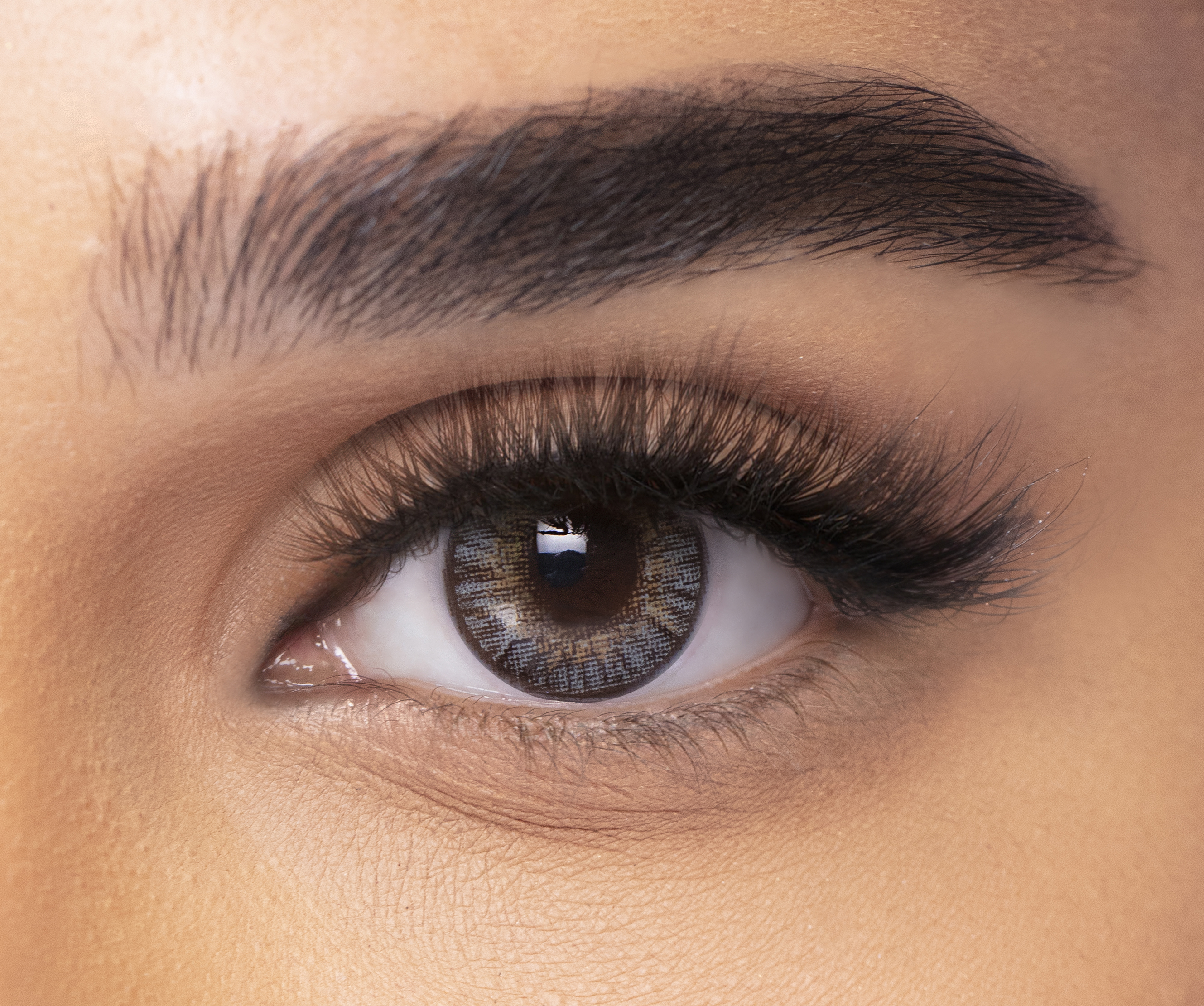 فريش لوك كولور بليندز  - عبوة من عدستين -جراي